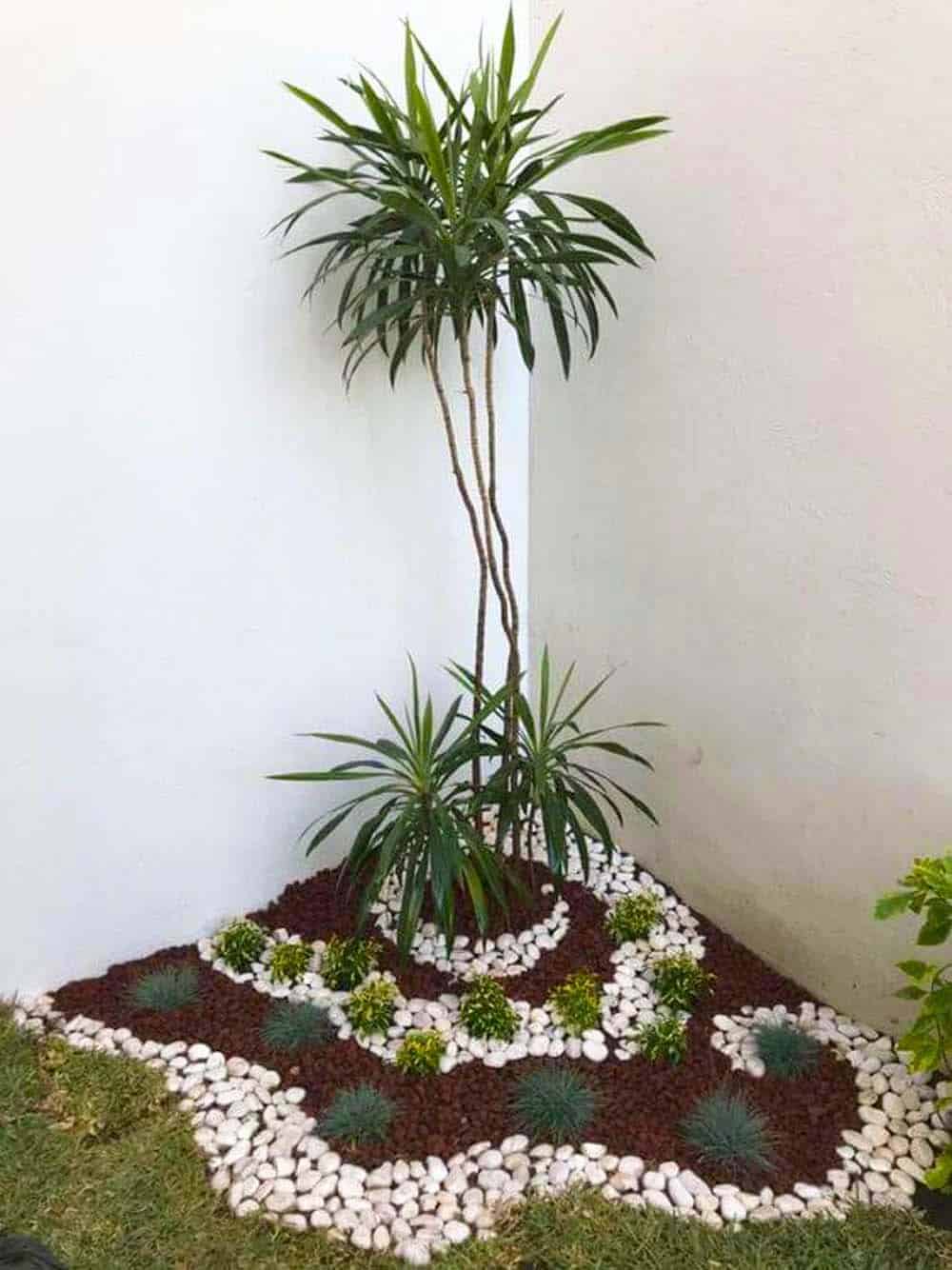 Serene Palm Nook