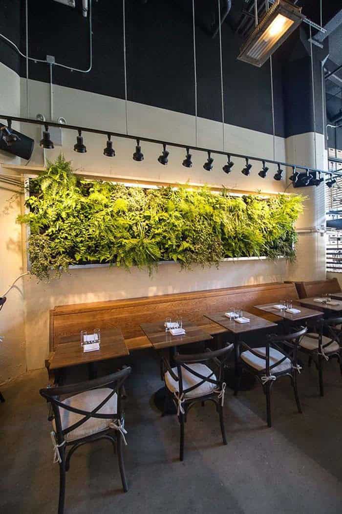 Hanging Fern Living Wall