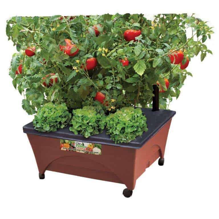 Patio Raised Garden Bed Grow Box Kit with Watering System and Casters in Terra Cotta