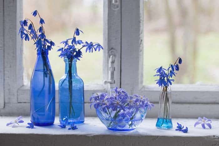 Add Blue Flowers to Your Décor for a Royal Look