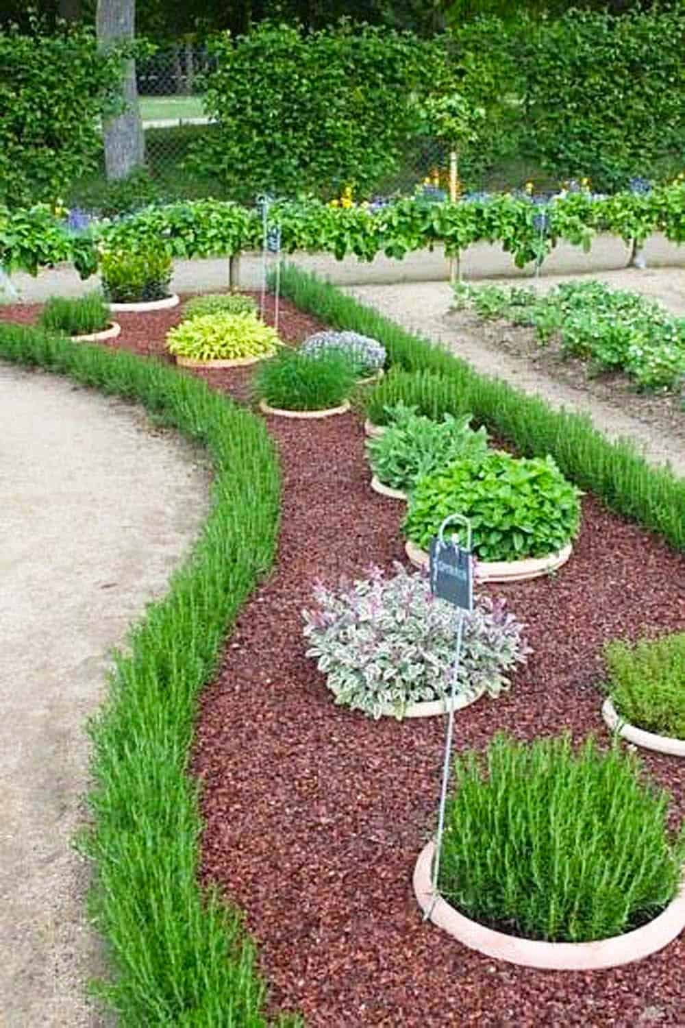 Organized Garden Rows