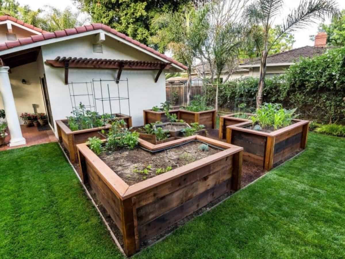 Wooden Patterned Raised Bed