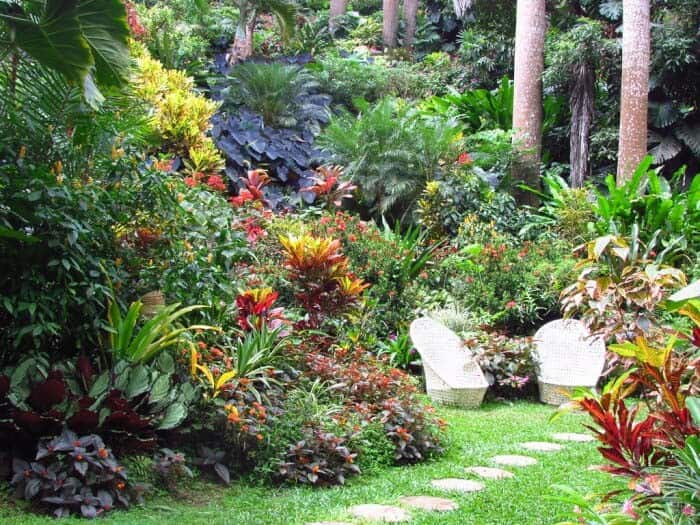 Blend Crotons Into a Tropical Landscape