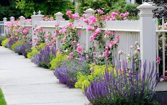 Cottage Charm Pink Picket Fence