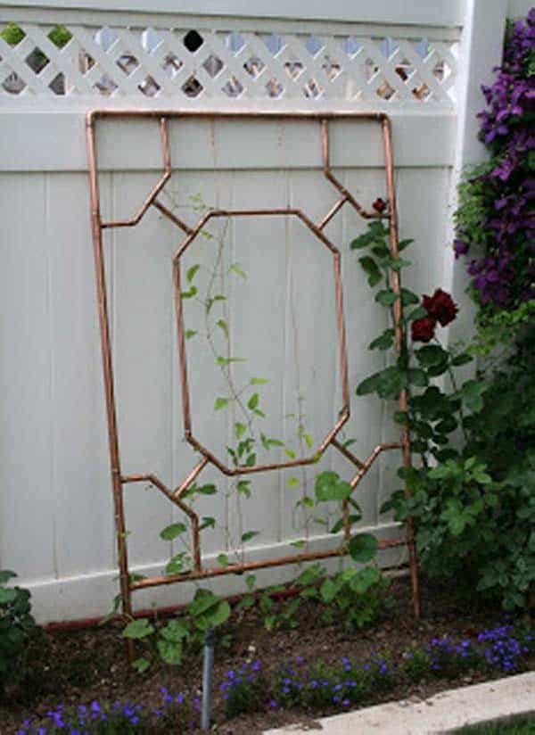 Standing Copper Pipe Trellis Frame