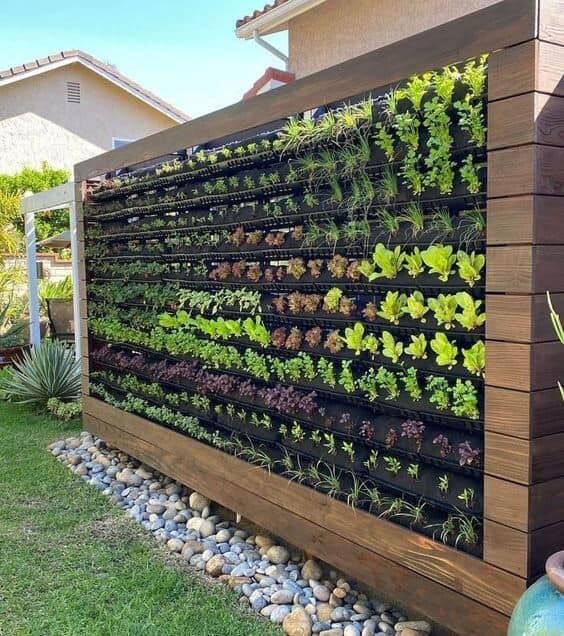 Try a Vertical Garden