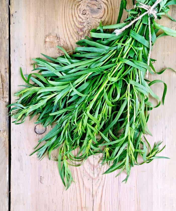 French Tarragon