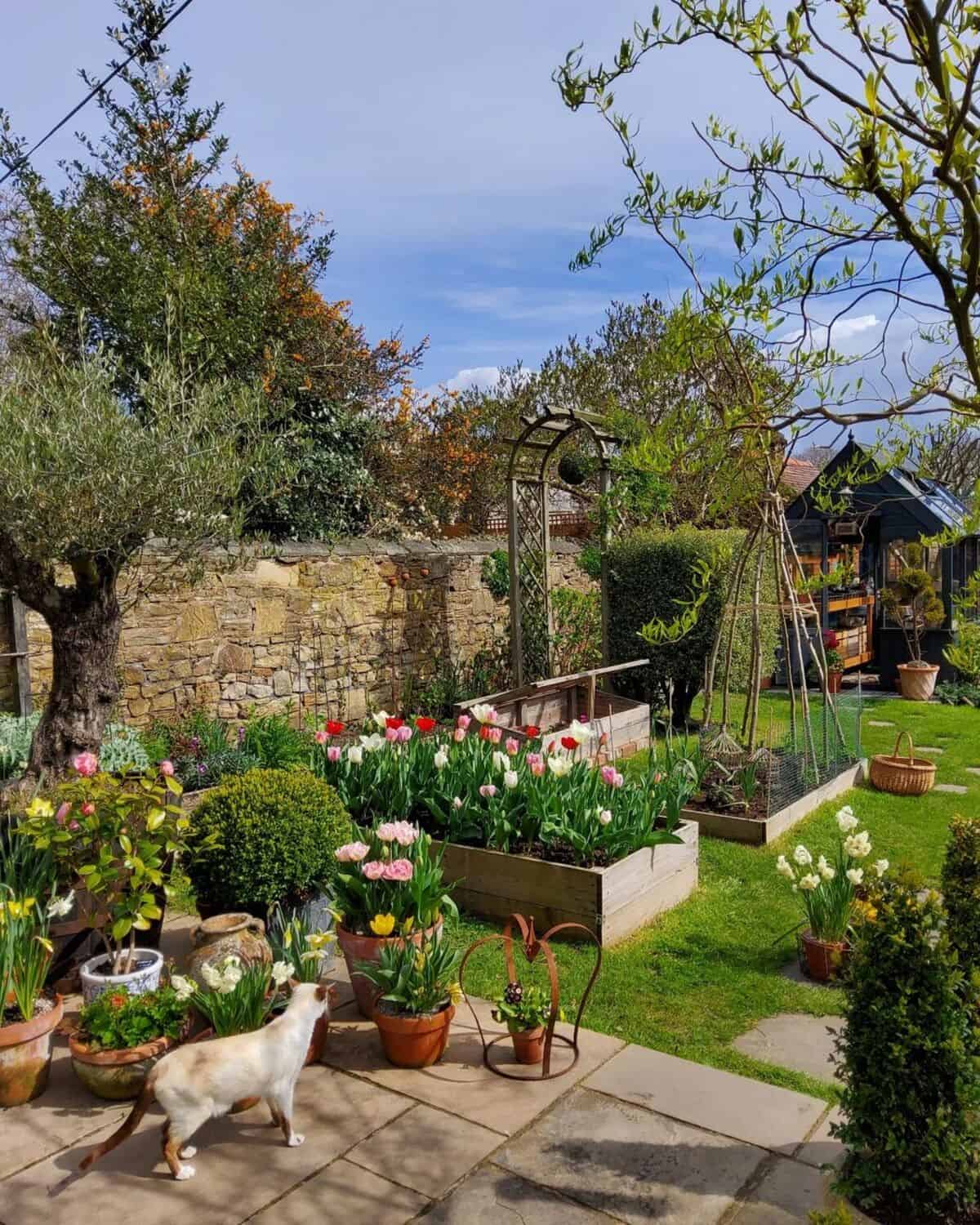 Whimsy Garden Next To The Fence