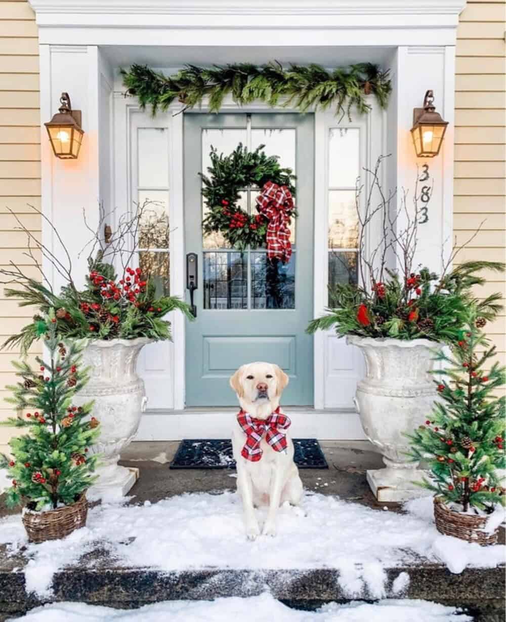 Embellish Your Front Porch with Berries