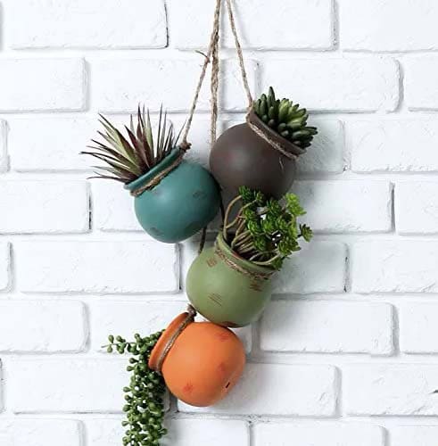 Colorful Grouped Succulent Pots