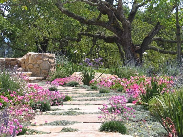 A Rock Garden with a Layered Landscape