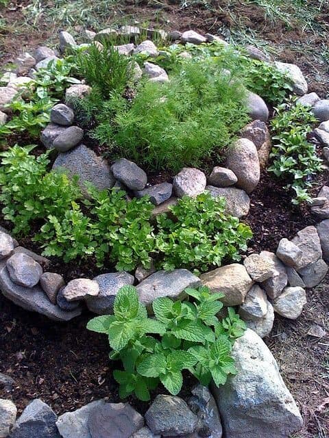 Spiral Rock Garden