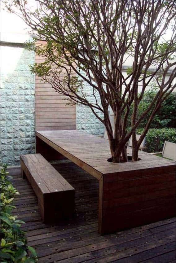 Outdoor Furniture Around Tree