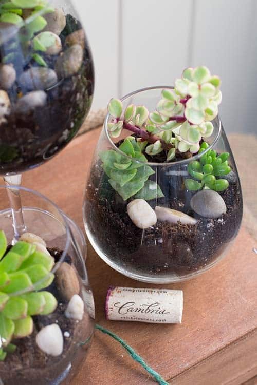 Repurpose Glassware into Cute Flower Pots with Succulents