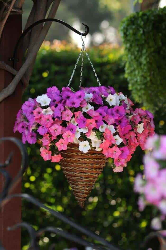 Hang Woven Rattan Planter for Blooming Flowers