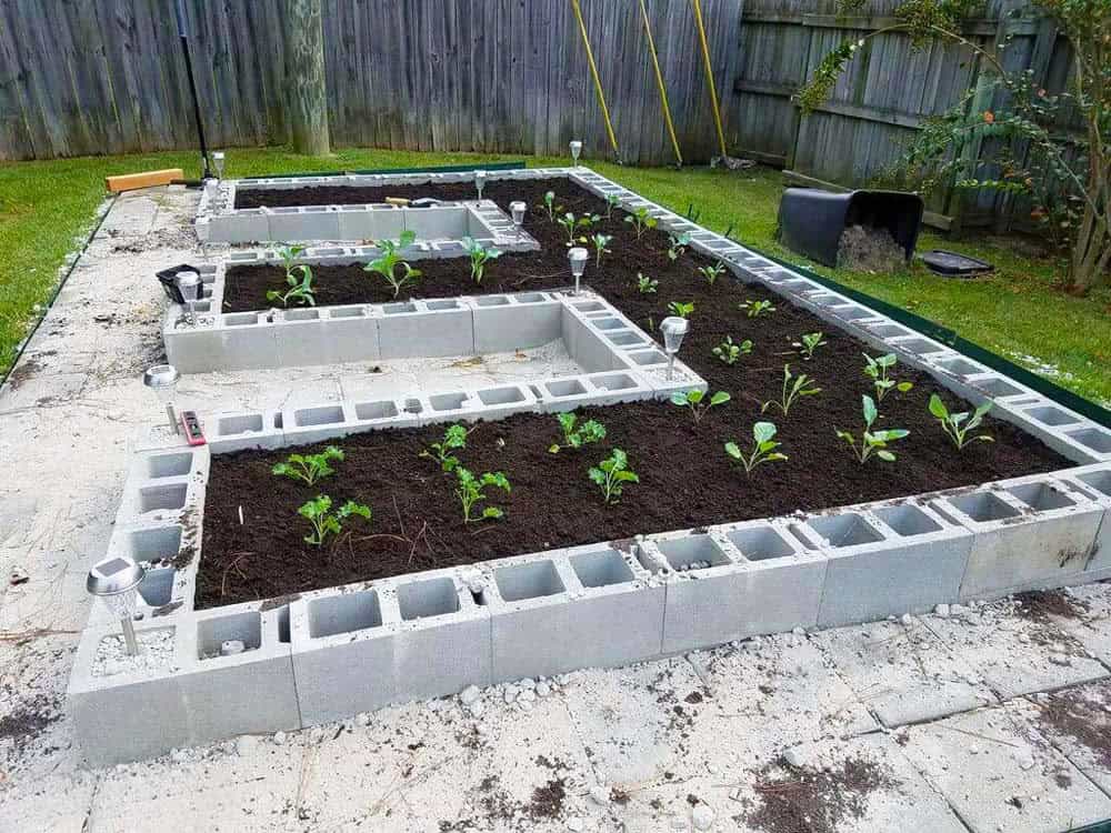 Structured Vegetable Beds