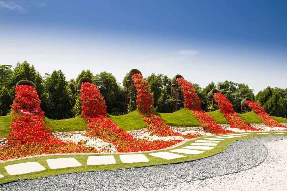 Create a Masterpiece in Your Garden with Flower Waterfalls