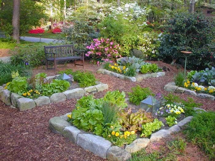 Plant Multiple Garden Beds