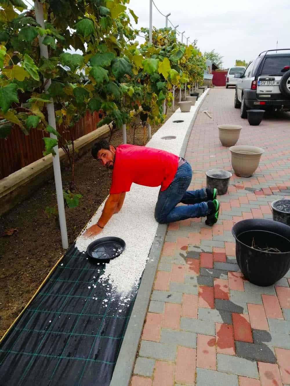 Garden Bed Preparation