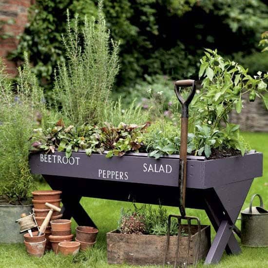 Enhance your Space with a Big Vintage Planter