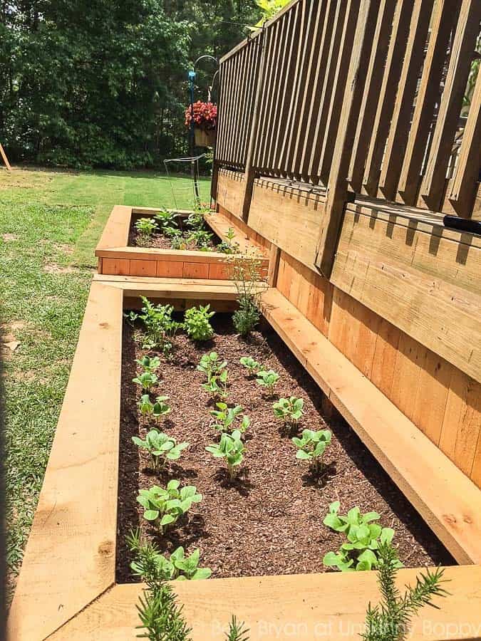 Raised Garden Bed Idea Using Treated Lumber