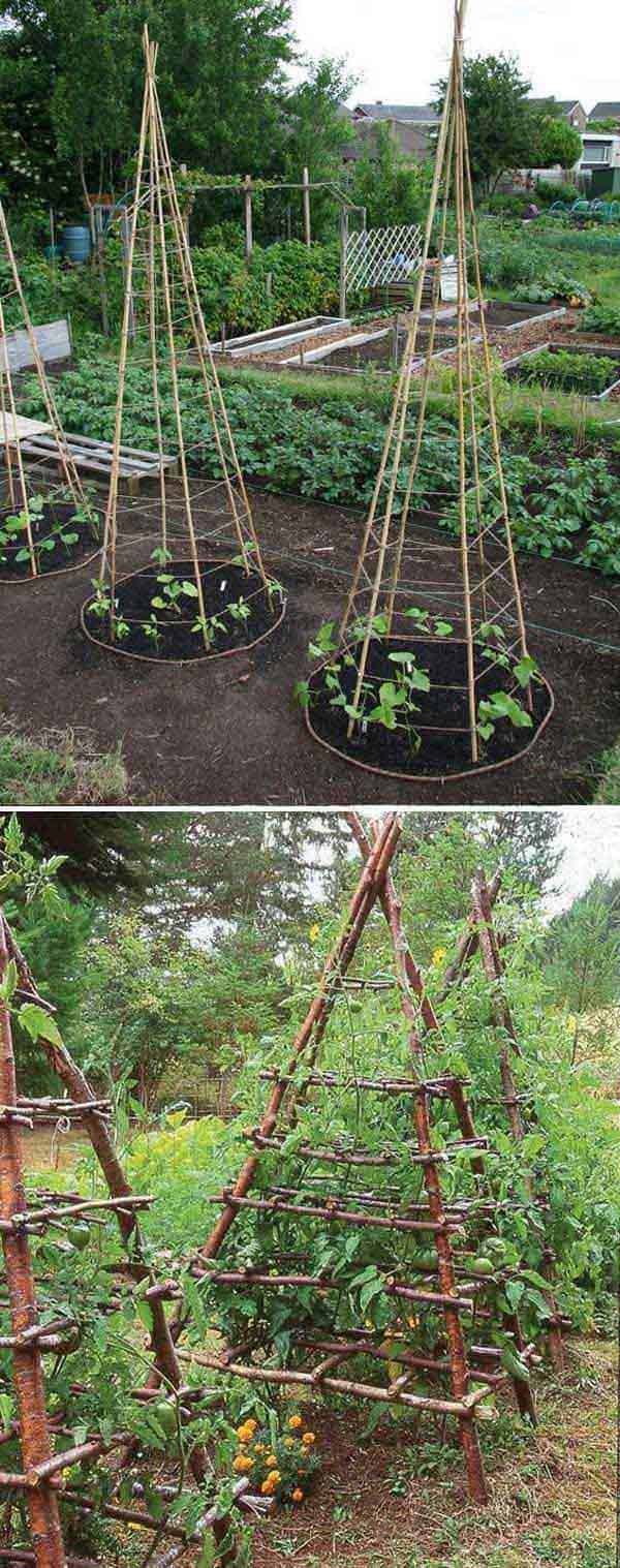 DIY Green Beans Tipis (also Teepees)