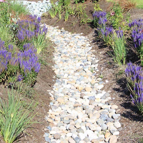 Enhance Your Curb Appeal with a River Rocks Ditch