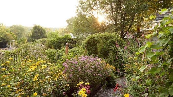 Design an Idyllic Cottage-Style Garden with a Gravel Pathway