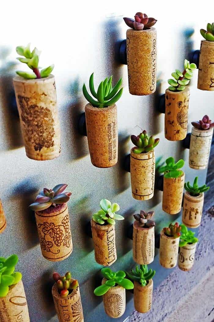 Upcycle Wine Corks into Wall Succulent Planters