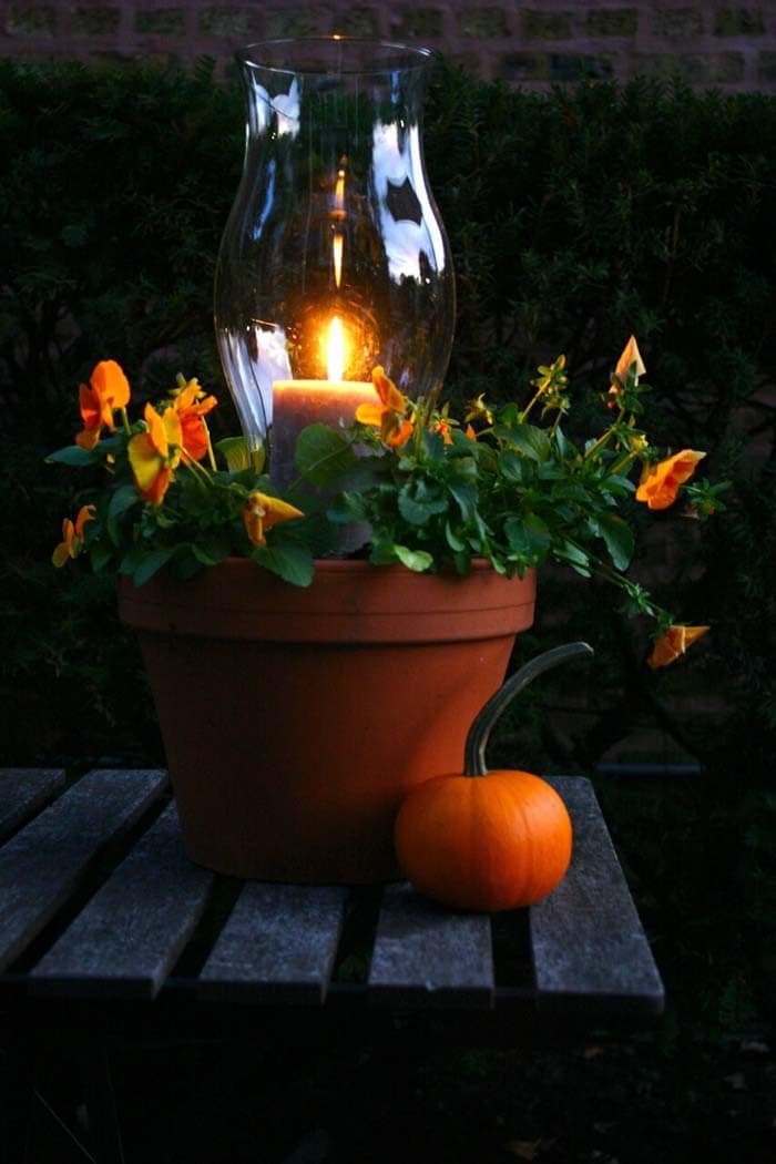 Candle-Plant Combination Enhances Garden Ambiance