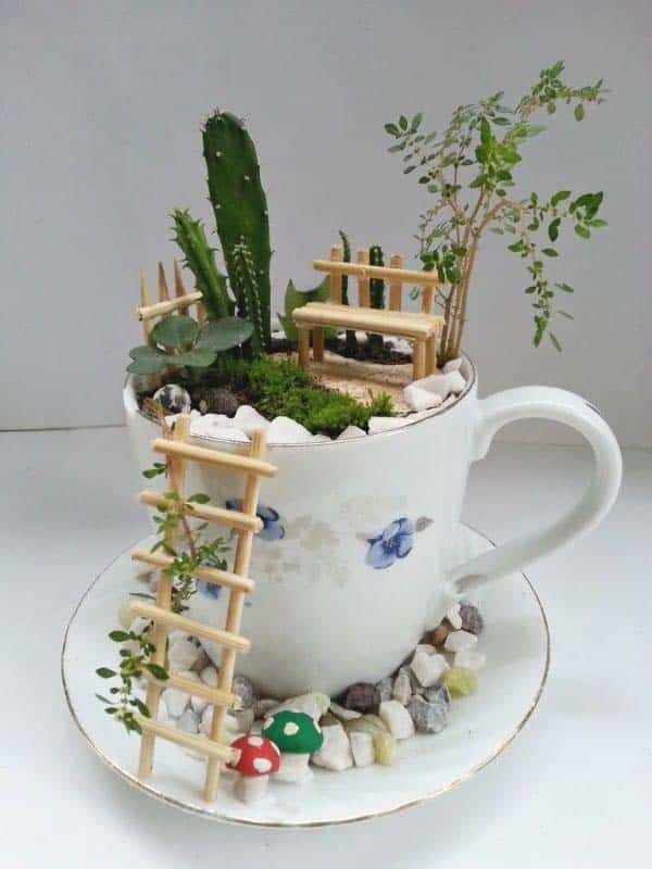 Create an Enchanting Display with Little Cup Fairy Garden