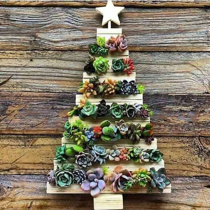 Make a Tree-Like Wooden Frame for Your Succulents