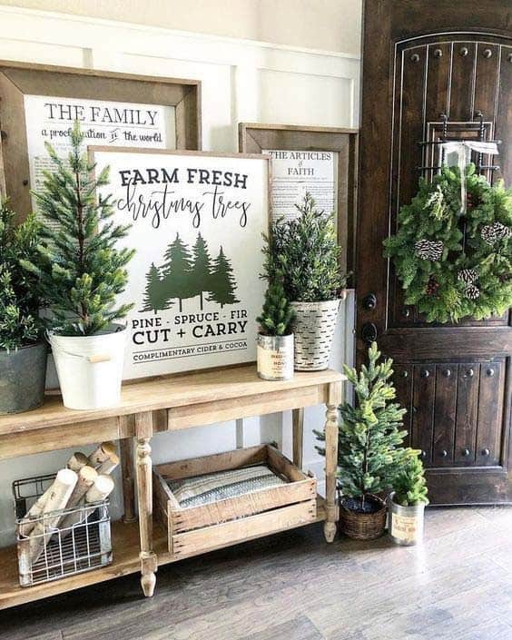 Transform Your Entryway into an Eco-Friendly Forest