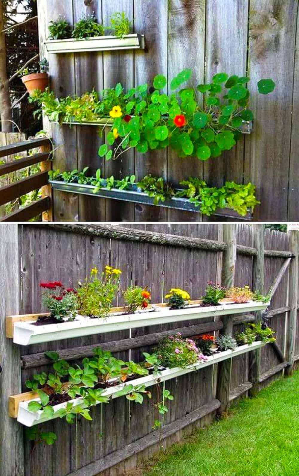 Vertical Garden Delight