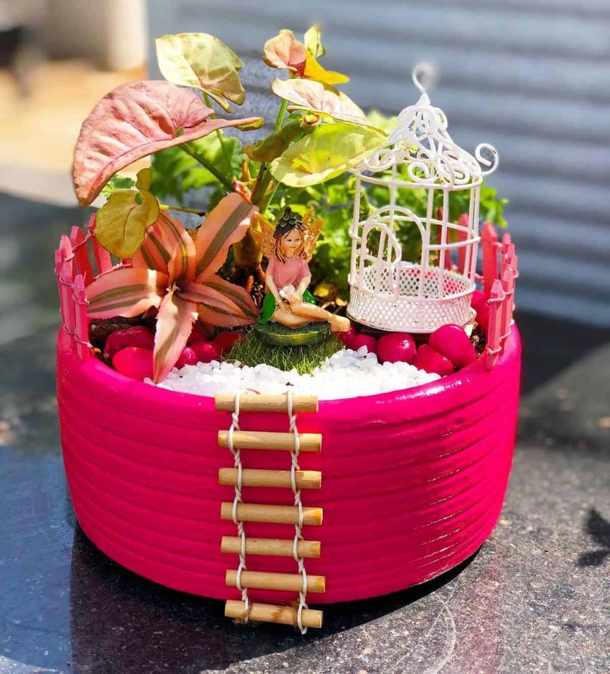 Fairy Garden With Houseplants