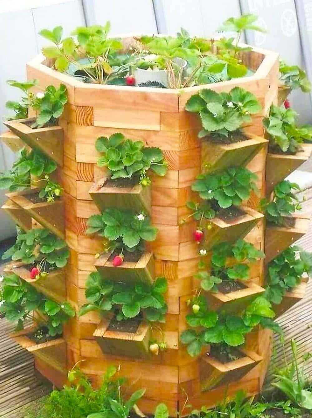 Vertical Strawberry Planter