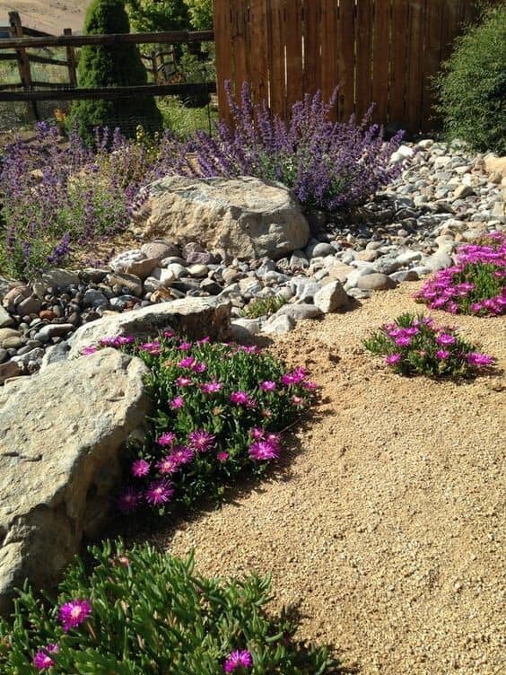 Rock Garden With Wild Flowers