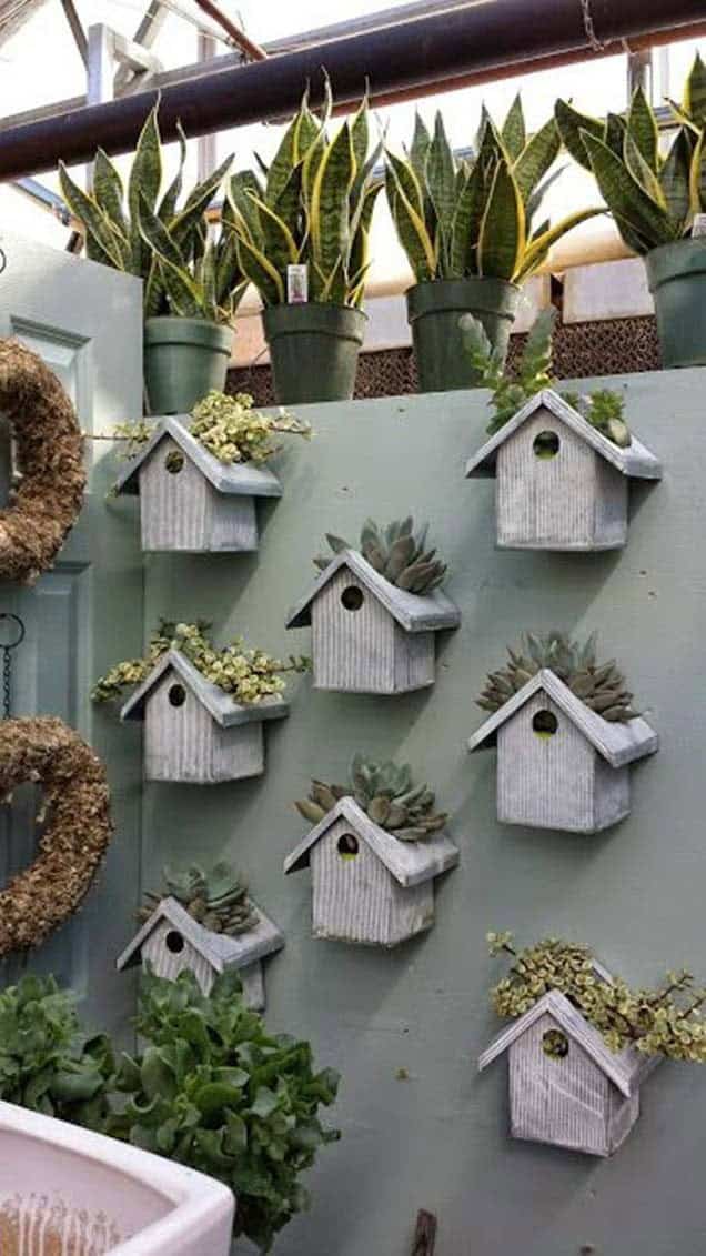 Hanging Birdhouse Succulent Garden