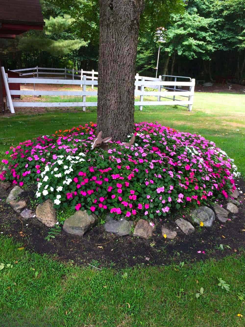 Tree-Base Blooms