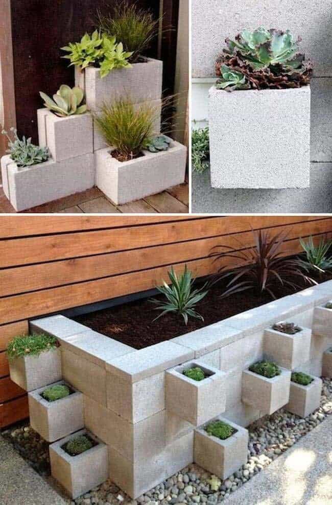 Grow Small Plants In Cinder Blocks