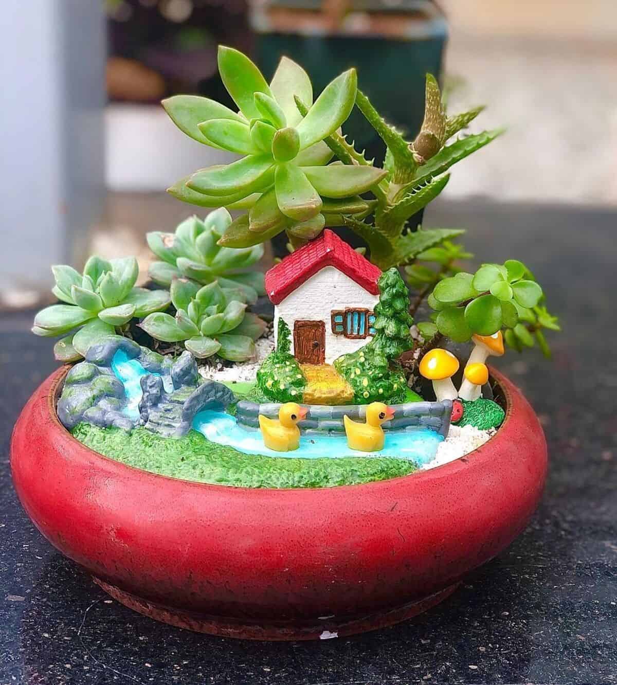 Succulent Fairy Garden