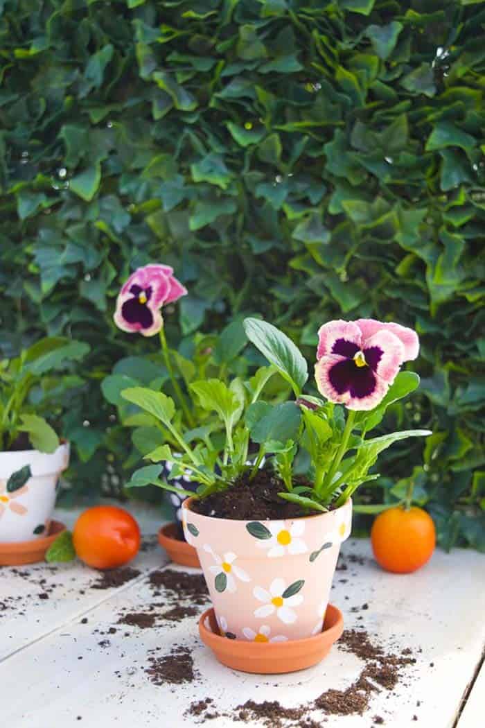 Spice Up Ordinary Planters