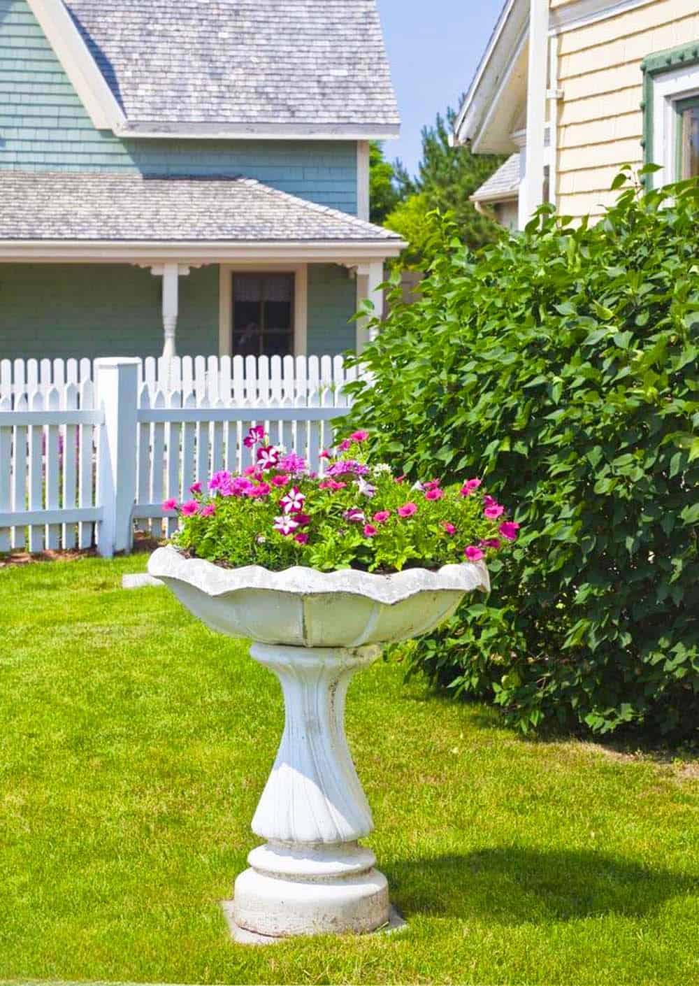 Classic Pedestal Planter