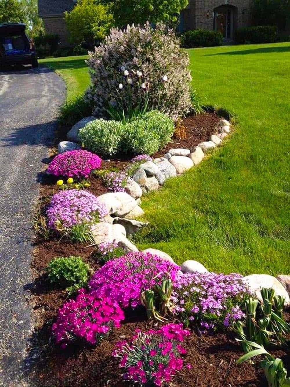 Suburban Floral Splendor