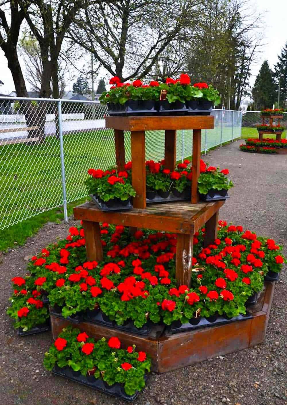 Floral Display Stand