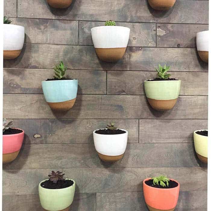 Collection of Colorful Wall Mounted Pots