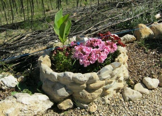 Rock Idea for Large Planters