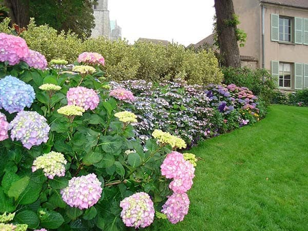 Floral Jewel Box for a Tiny Yard