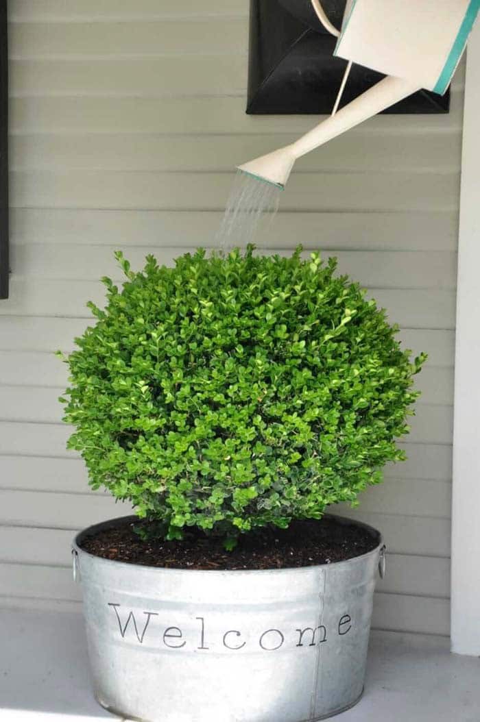 Use a Washtub for Porch Decoration