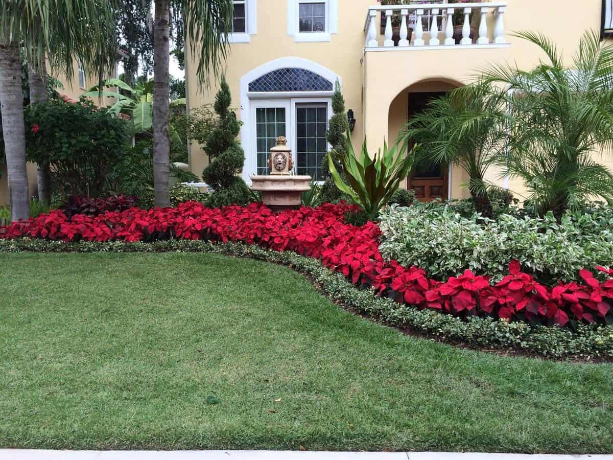 Flower Bed With Boxwood Edging